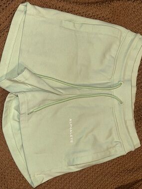Alphalete Mint Green Athletic Lounge Shorts